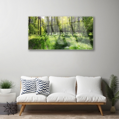 Tableaux sur verre Forêt nature brun vert