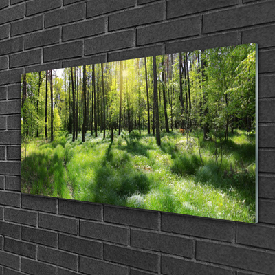 Tableaux sur verre Forêt nature brun vert