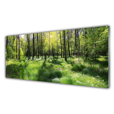 Tableaux sur verre Forêt nature brun vert