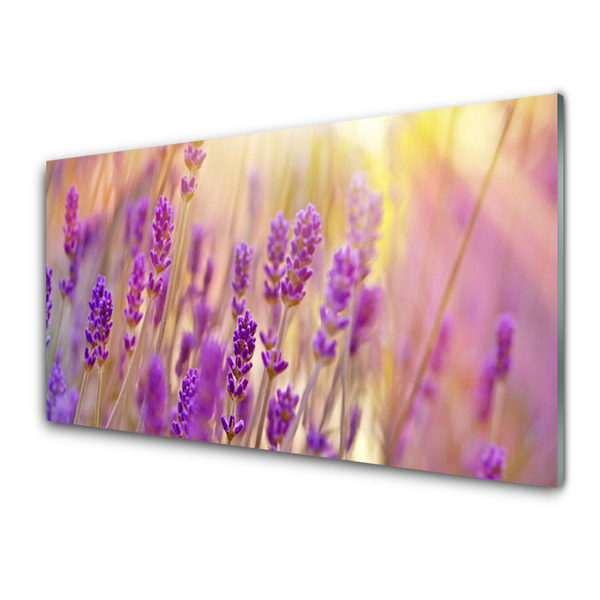 Tableaux sur verre Fleurs floral rose