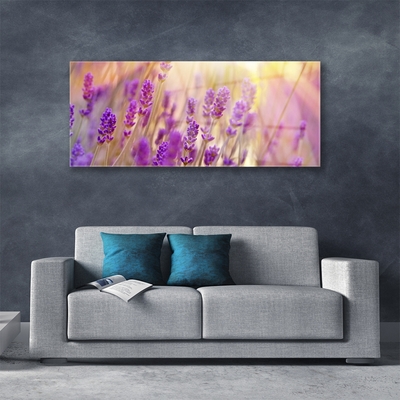 Tableaux sur verre Fleurs floral rose