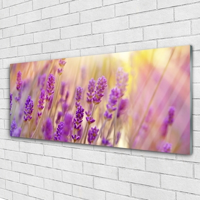 Tableaux sur verre Fleurs floral rose