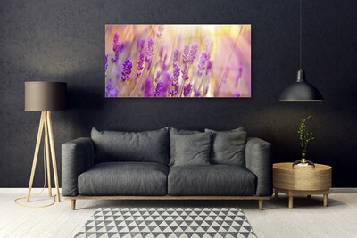 Tableaux sur verre Fleurs floral rose