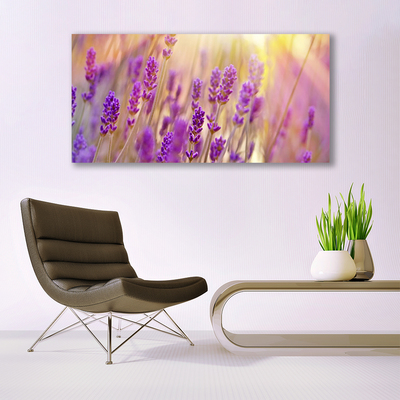 Tableaux sur verre Fleurs floral rose