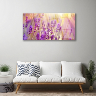 Tableaux sur verre Fleurs floral rose