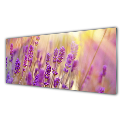 Tableaux sur verre Fleurs floral rose