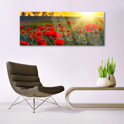 Tableaux sur verre Fleurs prairie nature rouge vert