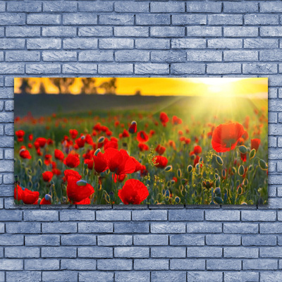 Tableaux sur verre Fleurs prairie nature rouge vert