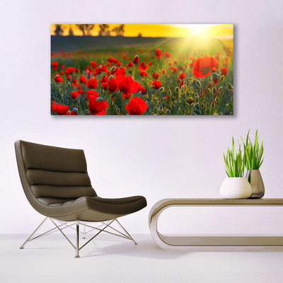 Tableaux sur verre Fleurs prairie nature rouge vert