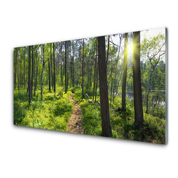 Tableaux sur verre Forêt nature brun vert