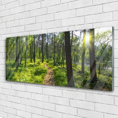 Tableaux sur verre Forêt nature brun vert