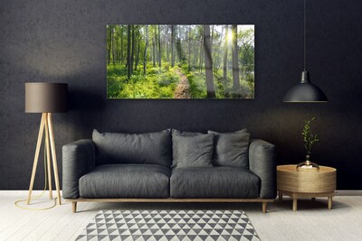 Tableaux sur verre Forêt nature brun vert