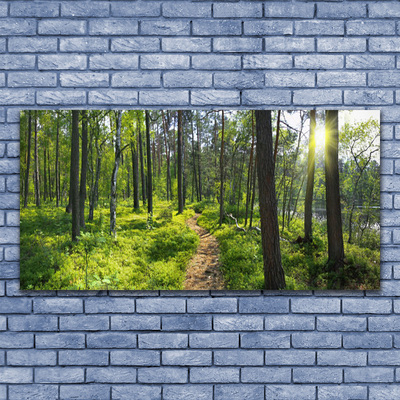 Tableaux sur verre Forêt nature brun vert