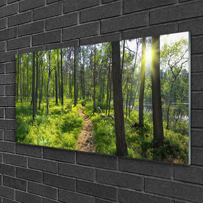 Tableaux sur verre Forêt nature brun vert