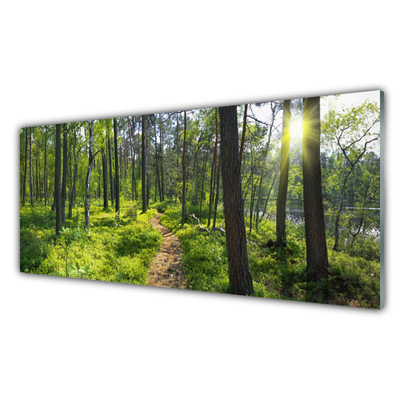 Tableaux sur verre Forêt nature brun vert