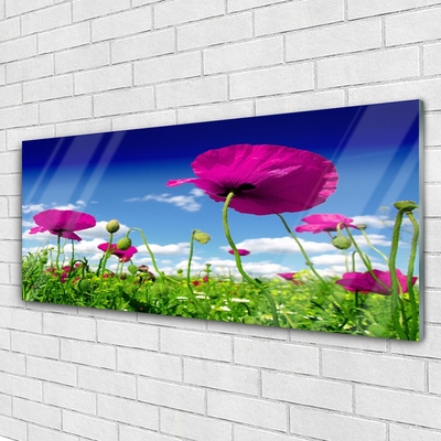 Tableaux sur verre Fleurs prairie nature rouge vert