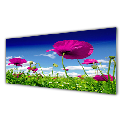 Tableaux sur verre Fleurs prairie nature rouge vert