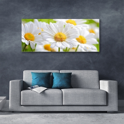 Tableaux sur verre Marguerite floral jaune blanc