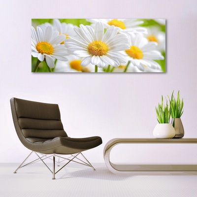 Tableaux sur verre Marguerite floral jaune blanc