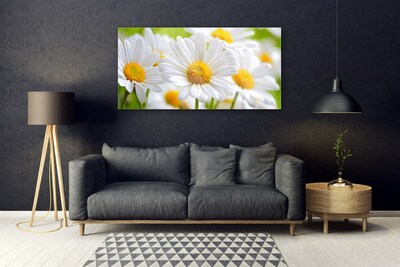 Tableaux sur verre Marguerite floral jaune blanc