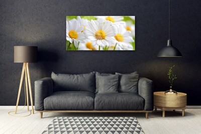 Tableaux sur verre Marguerite floral jaune blanc