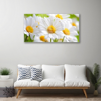 Tableaux sur verre Marguerite floral jaune blanc