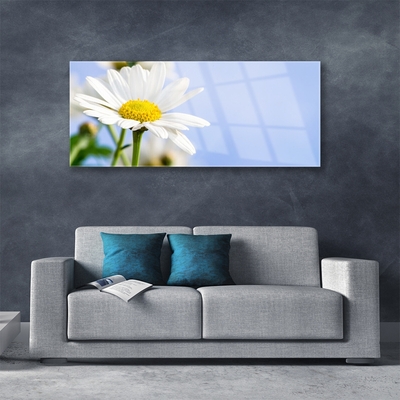 Tableaux sur verre Marguerite floral jaune blanc