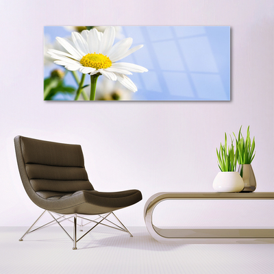 Tableaux sur verre Marguerite floral jaune blanc