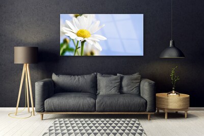 Tableaux sur verre Marguerite floral jaune blanc