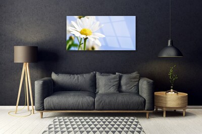 Tableaux sur verre Marguerite floral jaune blanc