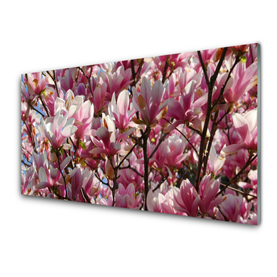 Tableaux sur verre Branches fleurs floral brun rose