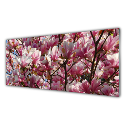 Tableaux sur verre Branches fleurs floral brun rose