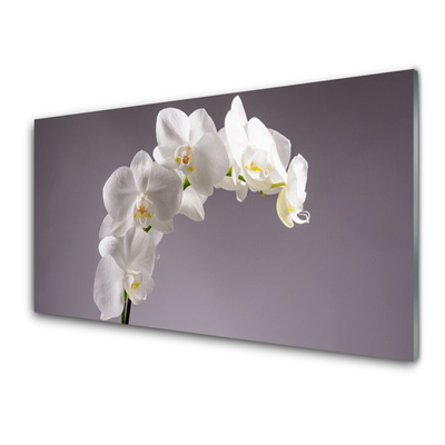 Tableaux sur verre Fleurs floral blanc