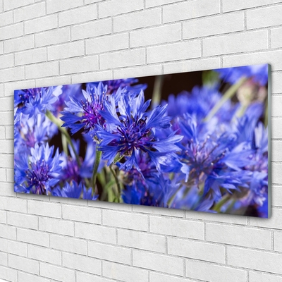 Tableaux sur verre Fleurs floral violet