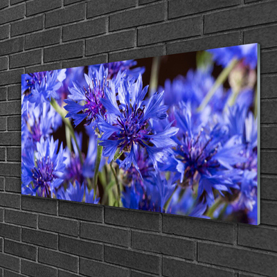 Tableaux sur verre Fleurs floral violet