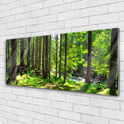 Tableaux sur verre Forêt nature brun vert