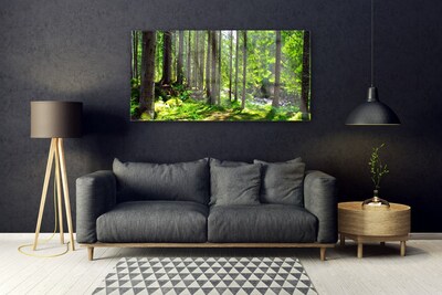 Tableaux sur verre Forêt nature brun vert