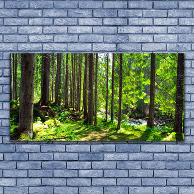 Tableaux sur verre Forêt nature brun vert