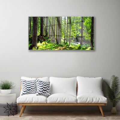 Tableaux sur verre Forêt nature brun vert