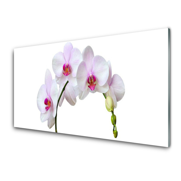 Tableaux sur verre Fleurs floral blanc rose