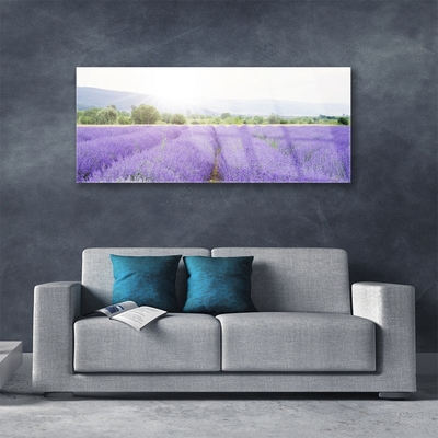 Tableaux sur verre Fleurs prairie nature violet