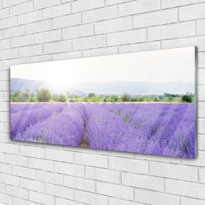 Tableaux sur verre Fleurs prairie nature violet