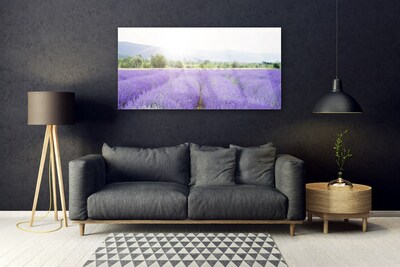 Tableaux sur verre Fleurs prairie nature violet