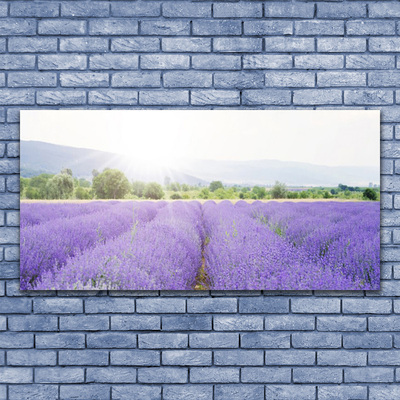 Tableaux sur verre Fleurs prairie nature violet