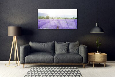 Tableaux sur verre Fleurs prairie nature violet