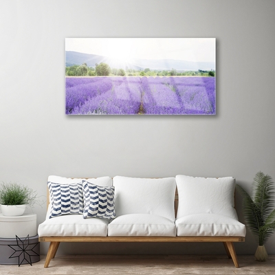 Tableaux sur verre Fleurs prairie nature violet