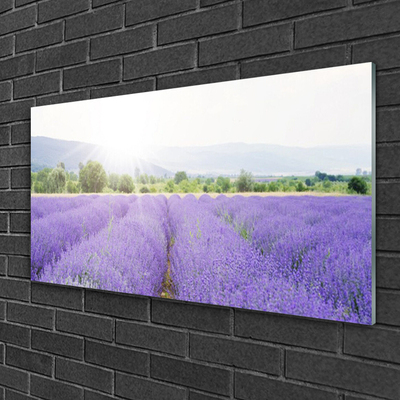 Tableaux sur verre Fleurs prairie nature violet