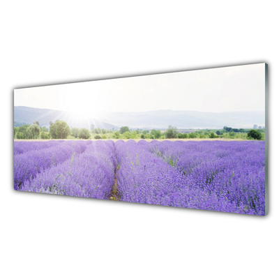 Tableaux sur verre Fleurs prairie nature violet