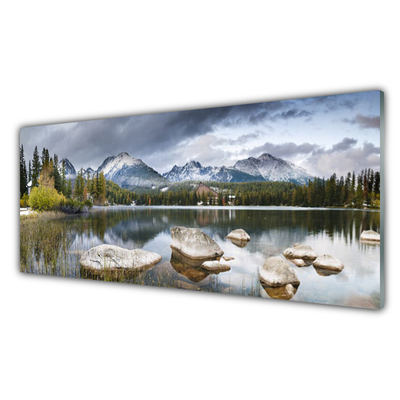 Tableaux sur verre Montagnes forêt lac paysage gris brun vert