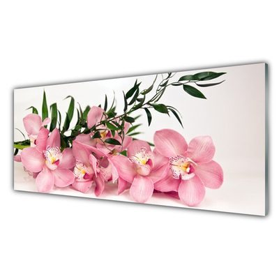 Tableaux sur verre Fleurs feuilles floral rose vert